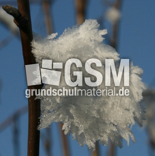 Winterimpressionen 041.jpg